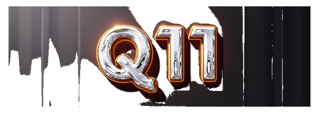 q11 logo